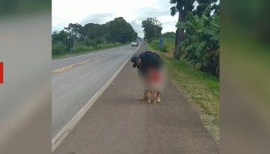 Imagem referente a Resgate Inesperado: PRF encontra criança de 4 anos caminhando sozinha em rodovia
