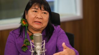 Povos indígenas pedem prioridade em proteção, diz presidente da Funai