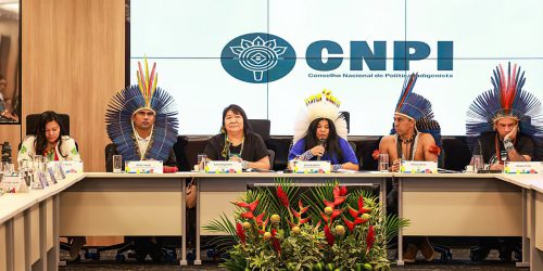 Imagem referente a Conselho Nacional de Política Indigenista retoma atividades