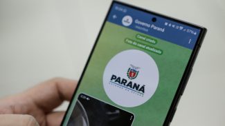 Governo lança canal no Telegram como mais uma fonte de informações seguras