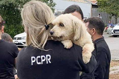 Imagem referente a Polícia Civil do Paraná orienta sobre como denunciar maus-tratos a animais