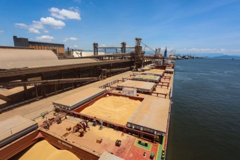 Imagem referente a China recebe 91,8% da soja exportada pelo Porto de Paranaguá