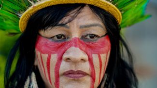 Programa educativo promove integração entre línguas indígenas