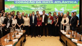 Governo do Paraná e Airbnb lançam rota para promover turismo sustentável no Litoral