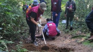 IAT e alunos da PUCPR promovem mutirões de conservação na Serra da Baitaca