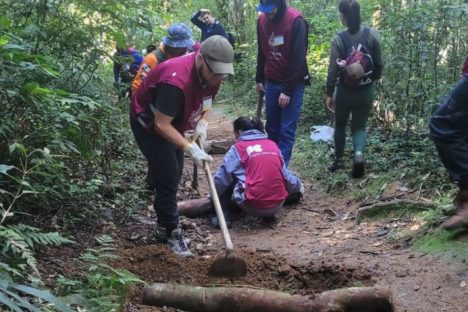 Imagem referente a IAT e alunos da PUCPR promovem mutirões de conservação na Serra da Baitaca