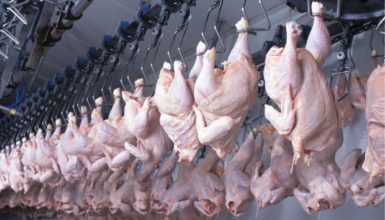 Imagem referente a Mais um frigorífico do Paraná é habilitado para exportar frango halal para a Malásia