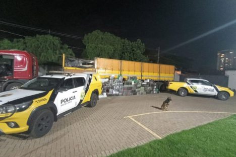 Imagem referente a Polícia Militar apreende 2 toneladas de maconha em caminhão em Iguaraçu