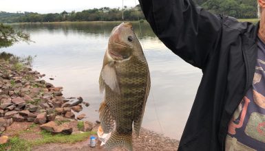 Imagem referente a Idosos têm tarde especial de pescaria no Lago Municipal
