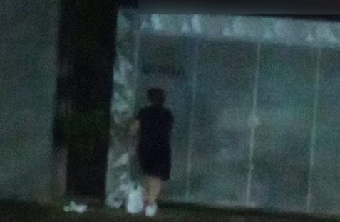 Imagem referente a Inusitado: mulher é flagrada furtando samambaias de fachada de comércio na Rua Paraná