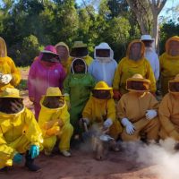 Imagem referente a Centro da UEM desenvolve pesquisa genética com abelhas em Diamante do Norte