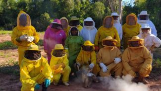 Centro da UEM desenvolve pesquisa genética com abelhas em Diamante do Norte