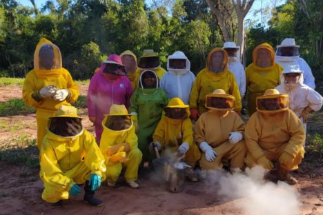 Imagem referente a Centro da UEM desenvolve pesquisa genética com abelhas em Diamante do Norte