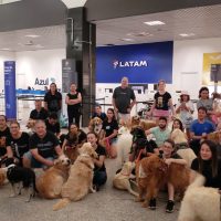 Imagem referente a Após morte do cão Joca em avião da Gol, grupo Golden Retriever Paraná faz manifestação no Aeroporto