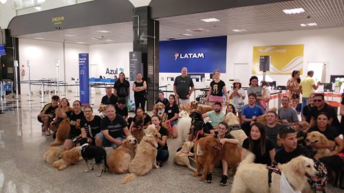 Imagem referente a Após morte do cão Joca em avião da Gol, grupo Golden Retriever Paraná faz manifestação no Aeroporto