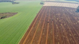 Governo do Estado divulga pesquisa com preços das terras agricultáveis no Paraná