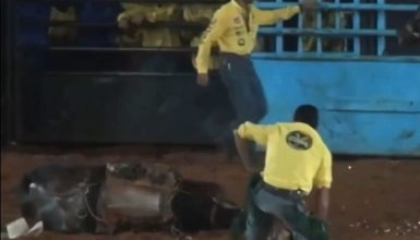 Imagem referente a Vídeo: cavalo morre ao cair de cabeça no chão em rodeio no Paraná