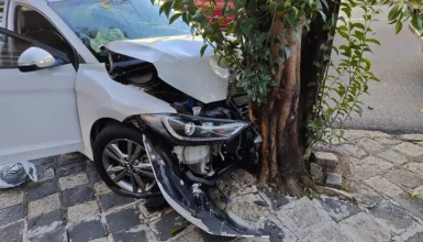 Imagem referente a Carro bate contra árvore e proprietário diz que veículo era dirigido por garota de programa