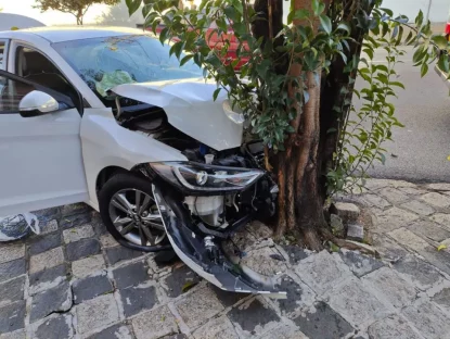 Imagem referente a Carro bate contra árvore e proprietário diz que veículo era dirigido por garota de programa