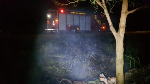 Imagem referente a Princípio de incêndio às margens da PRc-467 em Cascavel mobiliza Corpo de Bombeiros