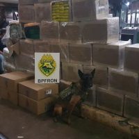Imagem referente a Com ajuda de cão farejador, BPFron apreende cerca de 1 tonelada de maconha na rodoviária de Cascavel