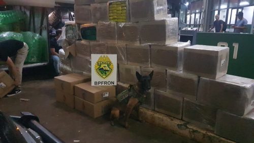 Imagem referente a Com ajuda de cão farejador, BPFron apreende cerca de 1 tonelada de maconha na rodoviária de Cascavel