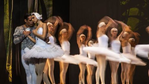 Imagem referente a Balé O Lago dos Cisnes, com Ana Botafogo, terá sessões na Ópera de Arame