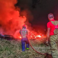 Imagem referente a Corpo de Bombeiros combate incêndio em vegetação no Cataratas