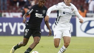Botafogo joga futuro na Libertadores diante da LDU no Nilton Santos