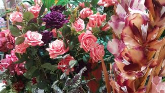 Dia das Mães: produção de rosas dobrou de tamanho no Paraná na última década