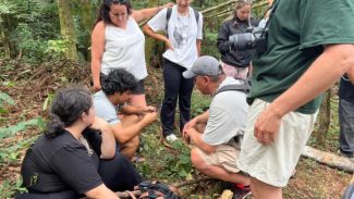 Case mundial, Floresta Metropolitana recebe indígenas do Canadá para intercâmbio