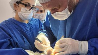 Hospital de Reabilitação realiza mutirão de cirurgias eletivas para agilizar fila 