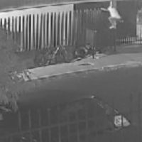 Imagem referente a Vídeo mostra ladrão invadindo residência e levando pertences dos moradores no Cascavel Velho
