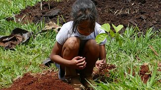 Estudo revela efetividade das ações de conservação ambiental