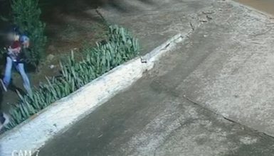 Imagem referente a Absurdo! Vídeo mostra jovem chutando gato em frente à condomínio de Cascavel
