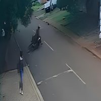 Imagem referente a Vídeo mostra cavalo sofrendo infarto e morrendo no meio da rua em Cascavel