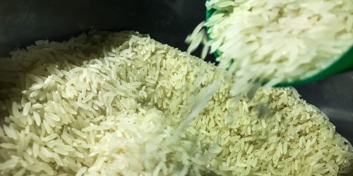 Imagem referente a Conab suspende leilão para compra de 104 mil toneladas de arroz polido