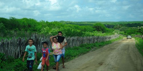 Imagem referente a Famílias em risco podem receber fomento rural mais de uma vez