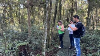 Polícia Científica do Paraná promove curso de reciclagem em perícias ambientais