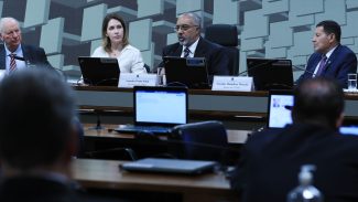 Comissão do Senado define sete projetos prioritários para o RS