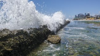 Governo quer barrar projeto que pode privatizar acesso a praias