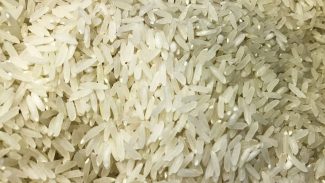 Conab compra 263,3 mil toneladas de arroz importado em leilão