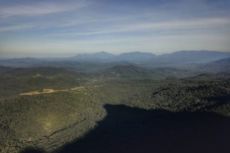 Imagem referente a BRDE e Fundação Boticário firmam parceria de sustentabilidade da Mata Atlântica