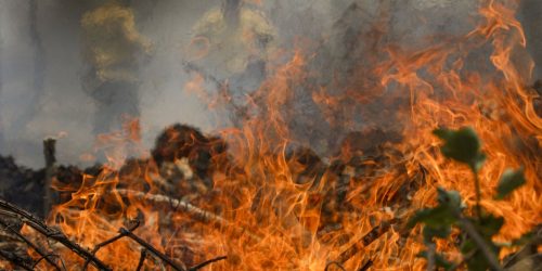 Imagem referente a Quase 1/4 do território brasileiro pegou fogo nos últimos 40 anos