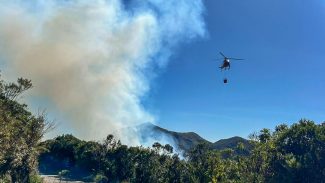 Parque Nacional do Itatiaia tem 300 hectares atingidos por incêndio