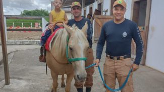 Terapia com cavalos da PMPR colabora na qualidade de vida de pessoas com deficiência