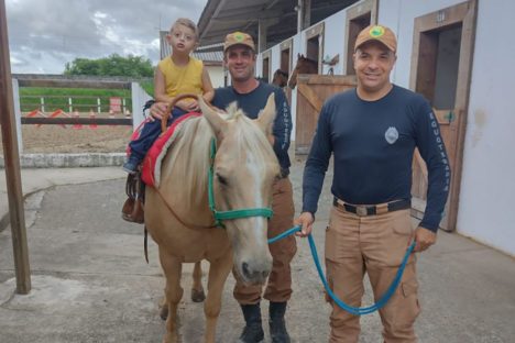 Imagem referente a Terapia com cavalos da PMPR colabora na qualidade de vida de pessoas com deficiência