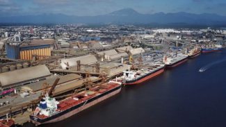 Importação cresce 14% nos portos paranaenses nos cinco primeiro meses de 2024