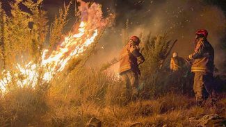 Ministério Público investiga incêndio no Parque Nacional do Itatiaia