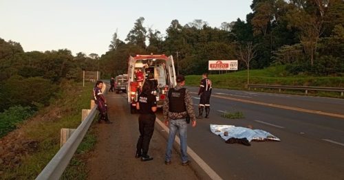 Imagem referente a Tragédia: Garota de 20 anos tenta atravessar rodovia com o namorado e morre atropelada